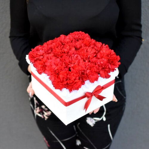 Red carnations in a square box