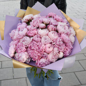 Rožinių bijūnų puokštė pavasario gėlės merginai