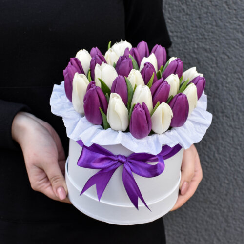 Bright box of purple and white tulips on woman's day